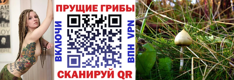 Псилоцибиновые грибы Psilocybe  закладка  Ангарск 