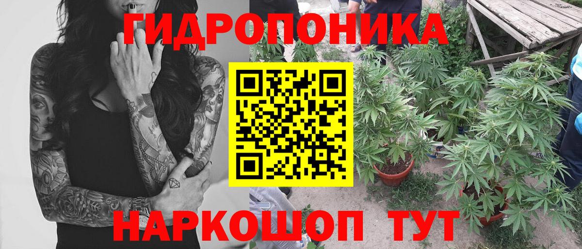Каннабис сатива  Каннабис сатива  Бошки марихуана LSD WEED  Вход с VPN  Ангарск  Бошки марихуана MAZAR 